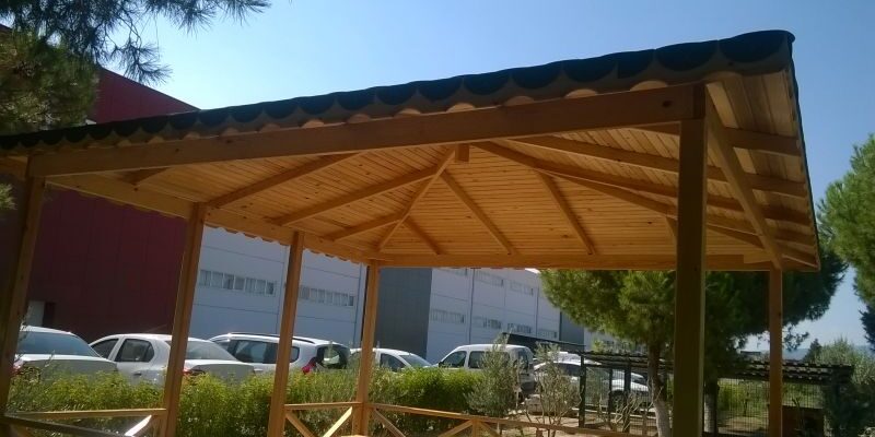 Kamelya Yapımı ile Modern alanlar