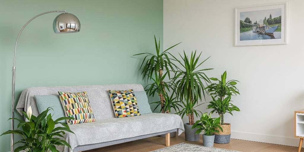 Küçük Dokunuşlarla Büyük Değişimler Ekonomik Ev Yenileme